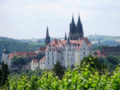 Stadt Meißen_BurgWein