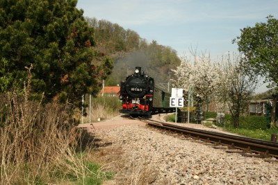 weisseritztalbahn_AndreasSchmidt_frühling
